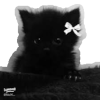 Manuuuou's profile picture